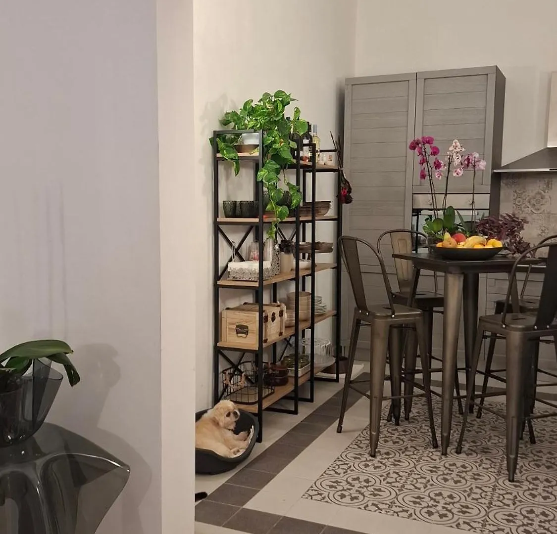 CASA VERDINA, nel cuore di Alghero Appartamento
